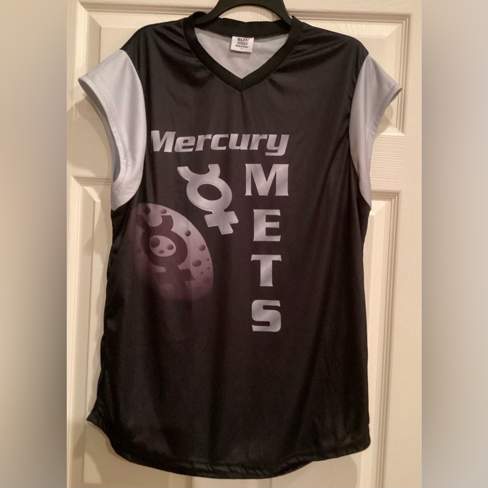 Mercury 2024 New York Mets Mike Piazza sleeveless Jersey, two sided, size Large